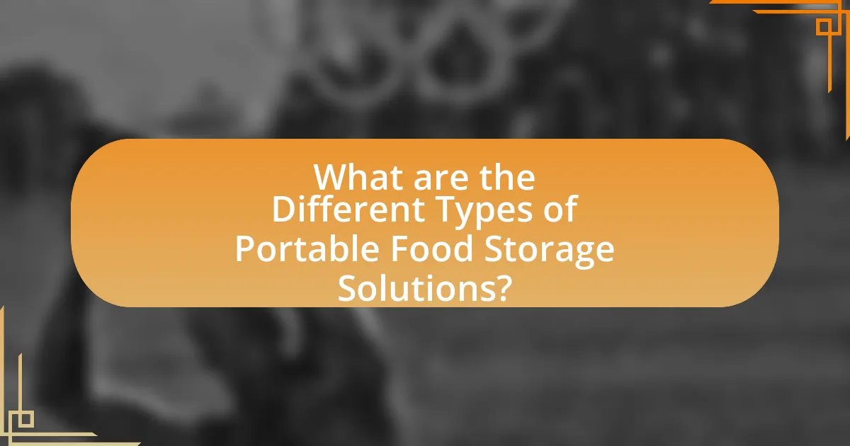 What are the Different Types of Portable Food Storage Solutions?